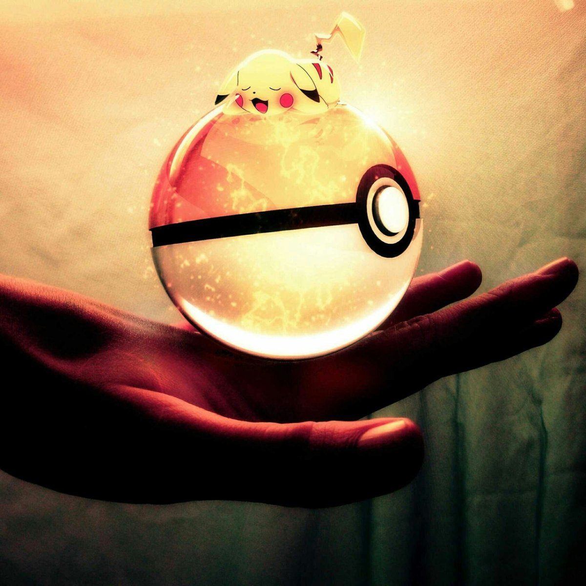 Пикачу в покеболе