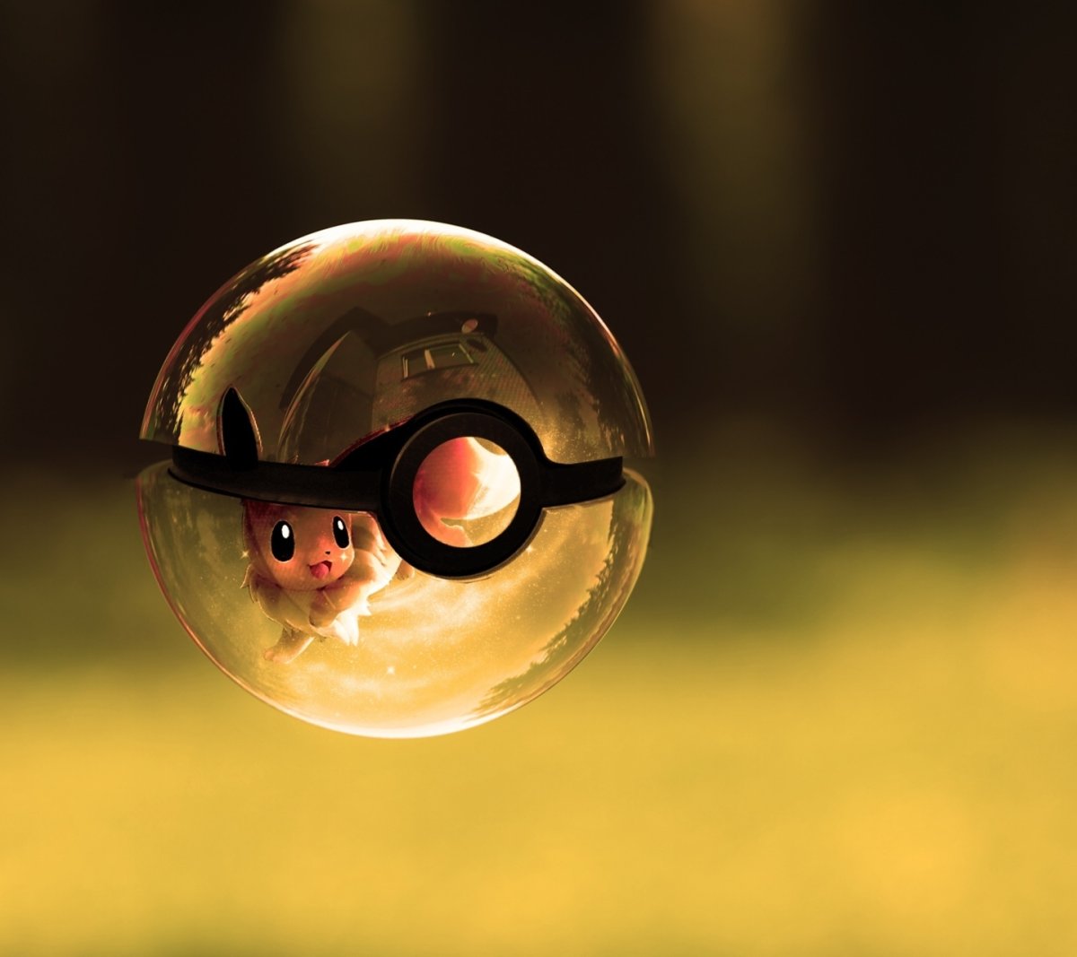 Покебол Райчу