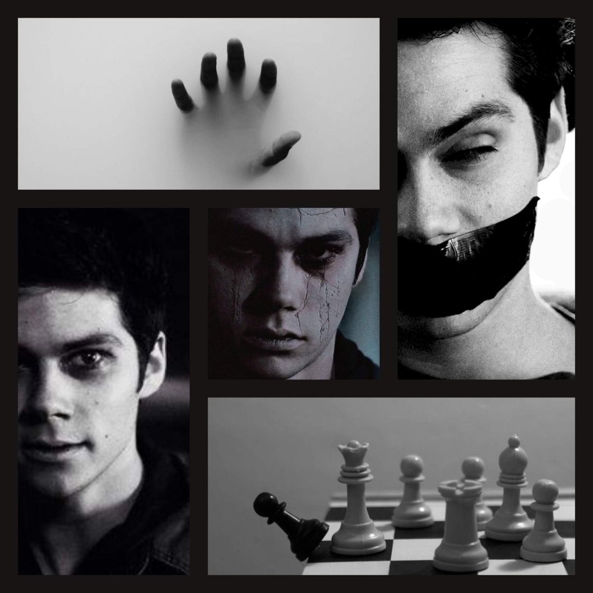 Собачки волчата