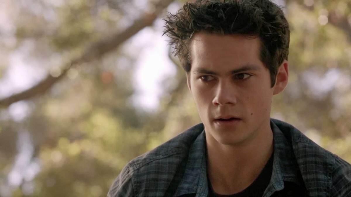 Волчонок фразы