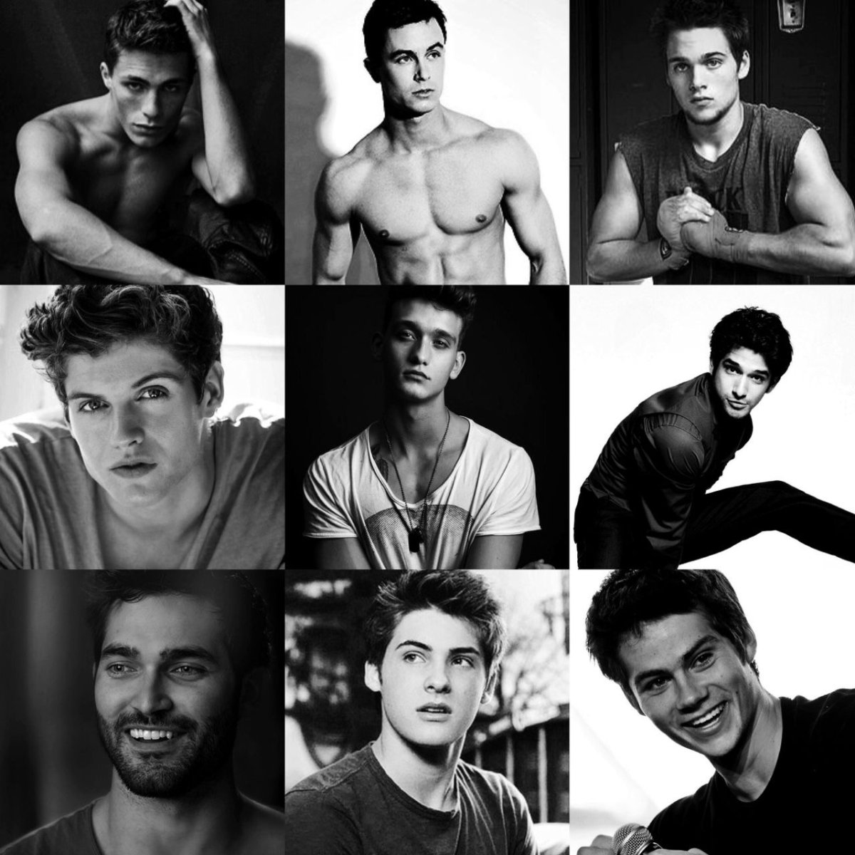 Карликовый волк