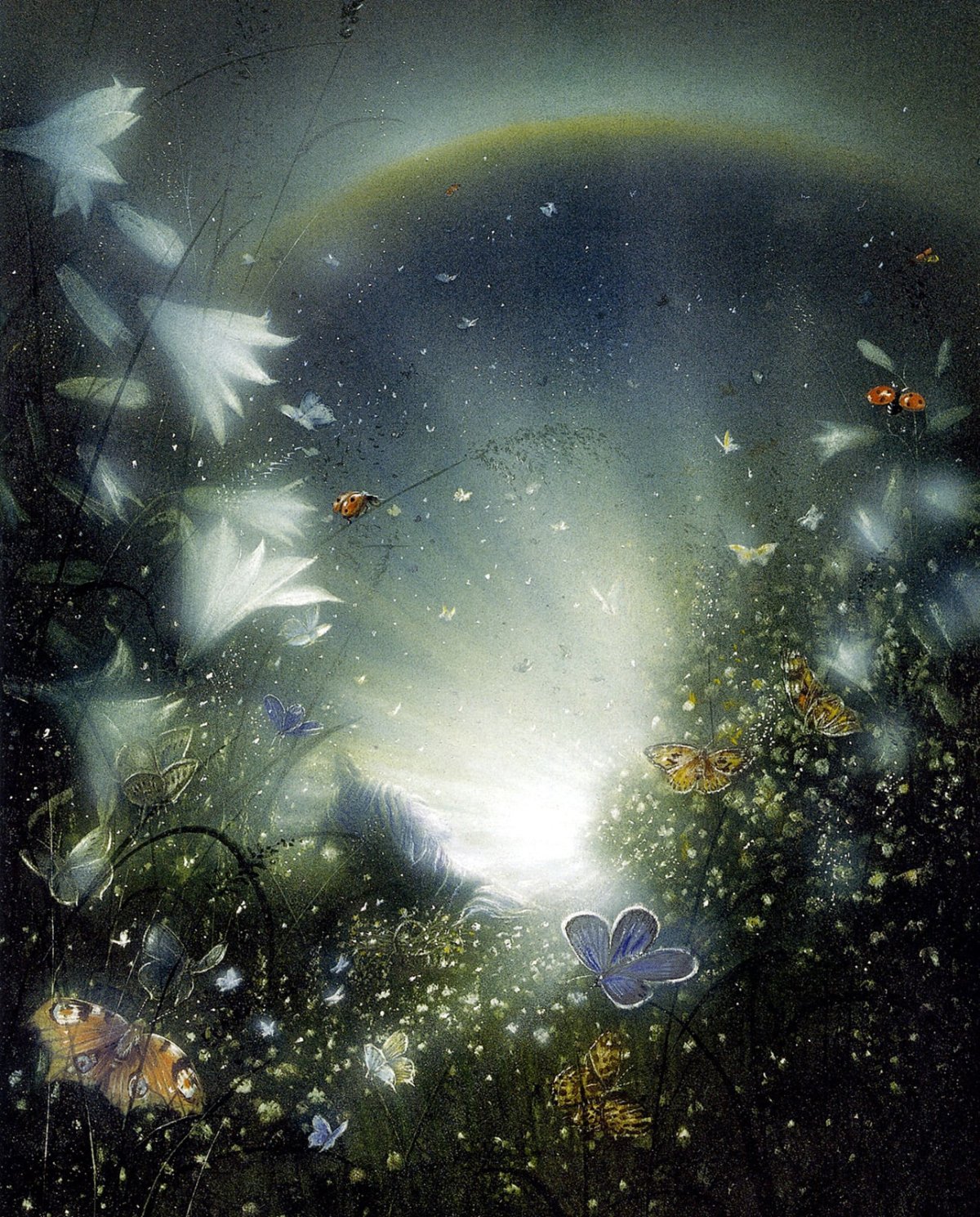 Фея добрых снов