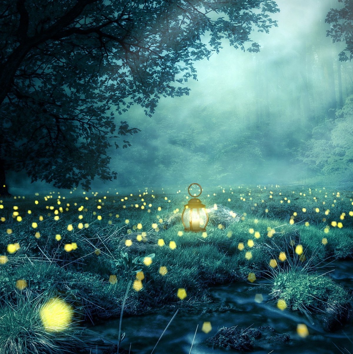 Волшебная ночь