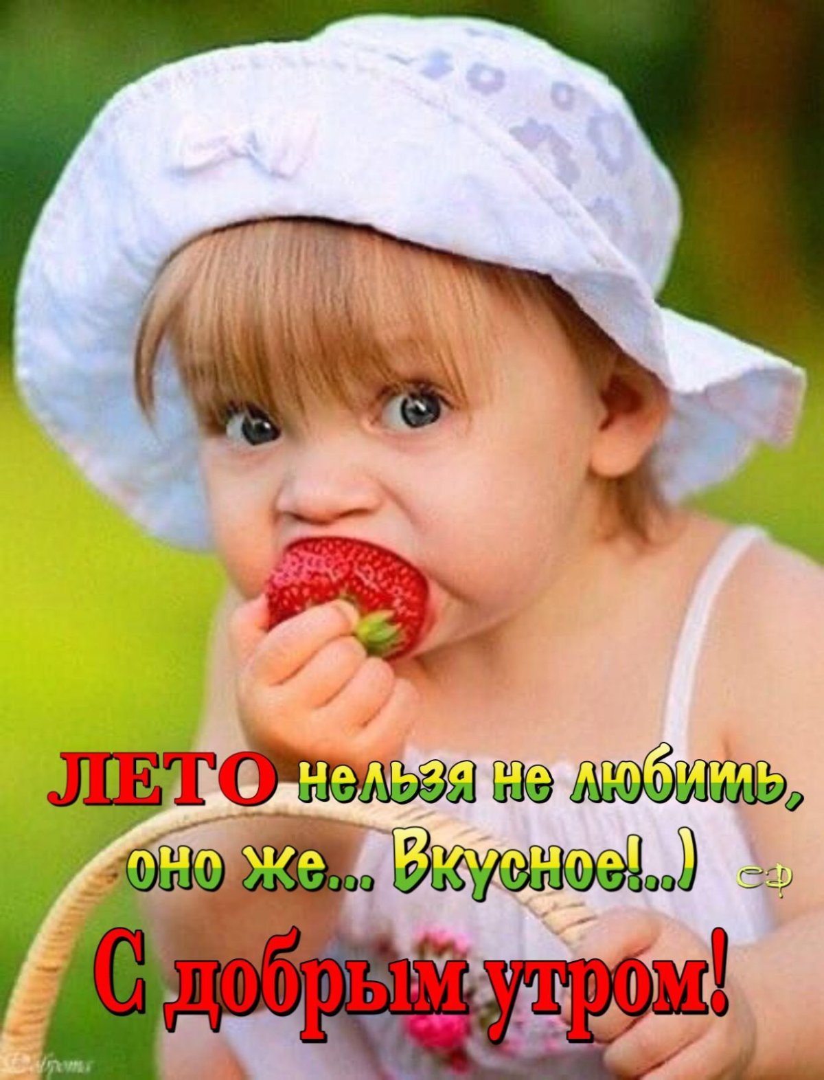 Утро лето дети