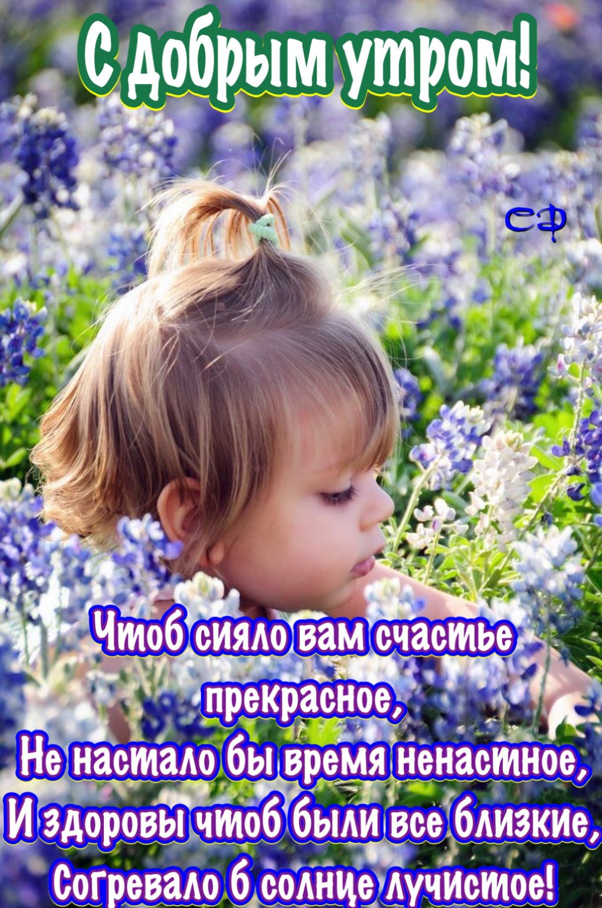 Старые открытки с добрым утром