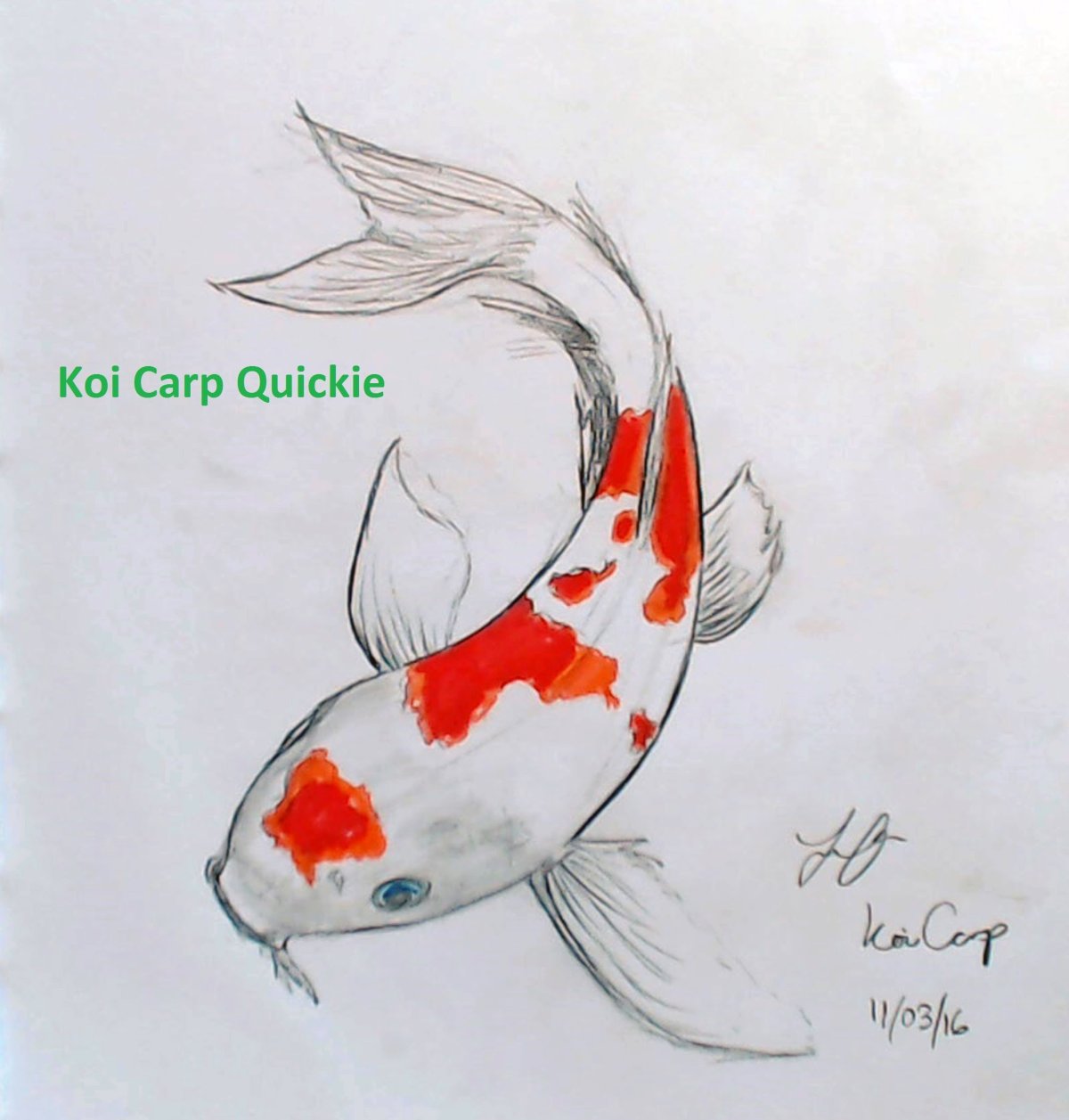 Китайские рыбки карандашом