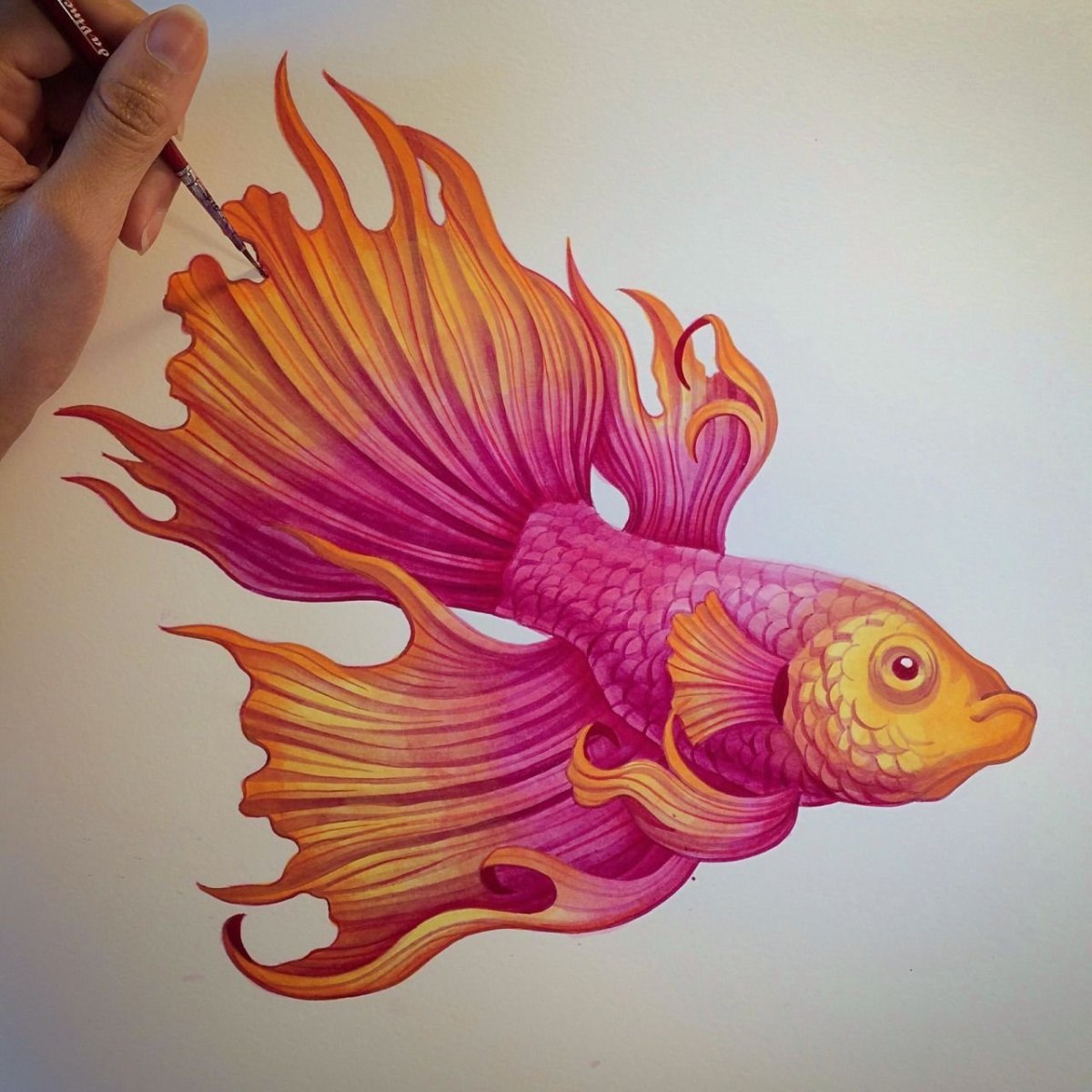 Красивые рыбки для рисования