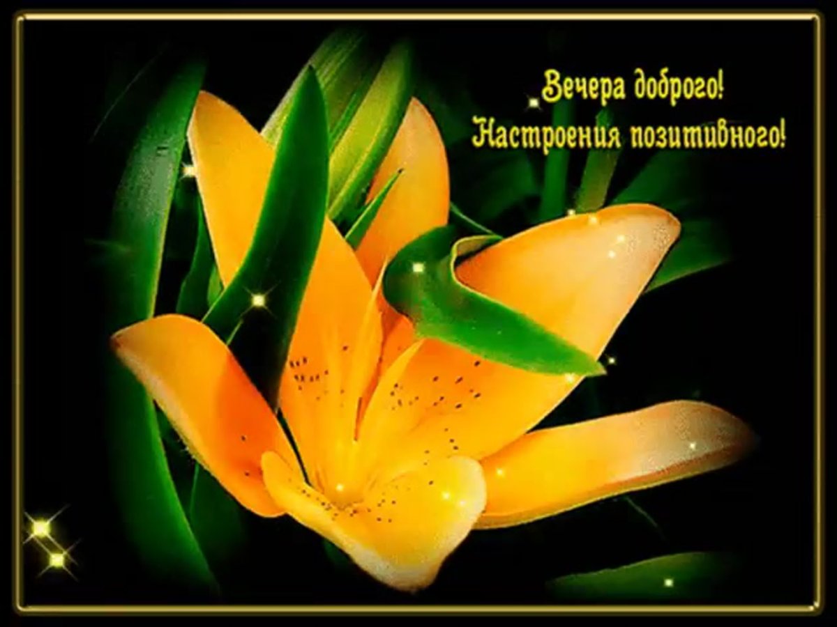 Добрый вечер поздравления позитивные