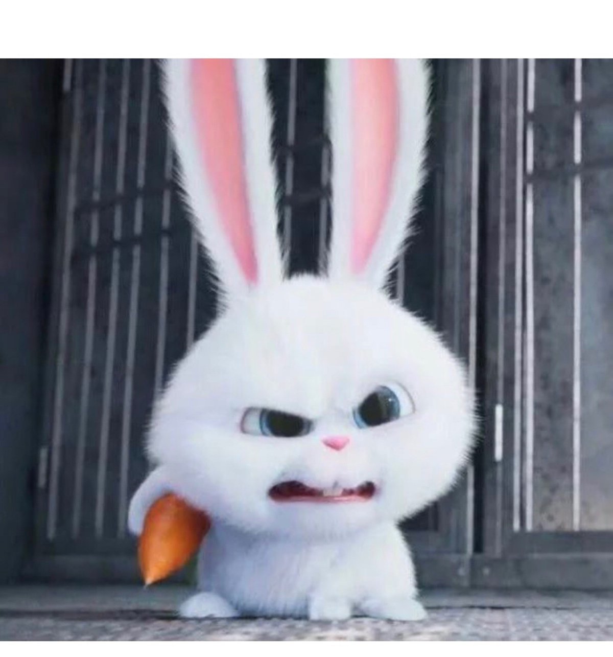 Злой кролик