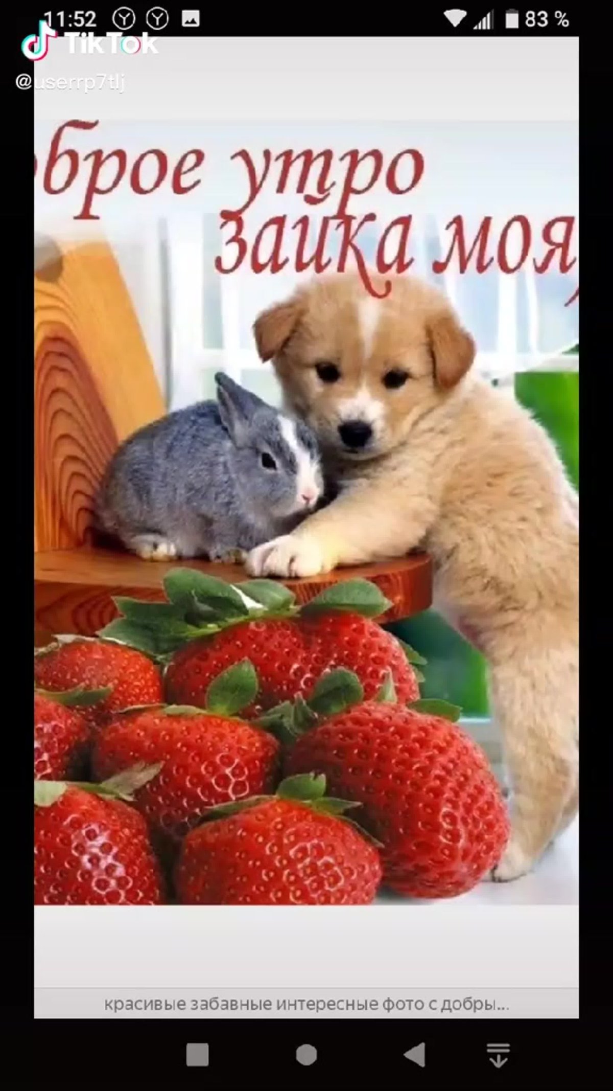 Открытки с добрым утром подруге