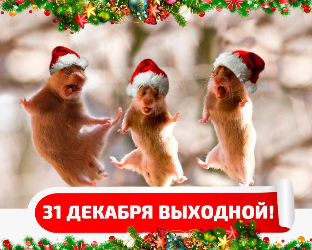 Статусы про новый год прикольные