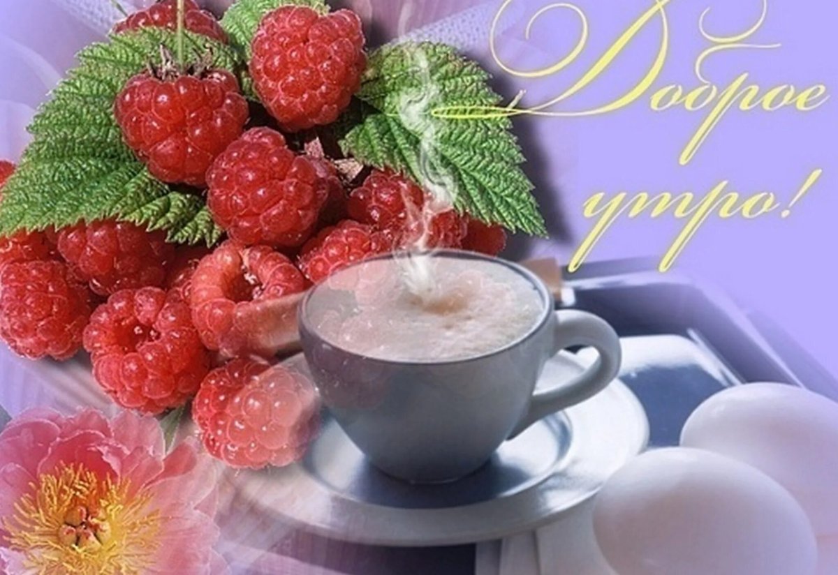 С добрым прекрасным утром