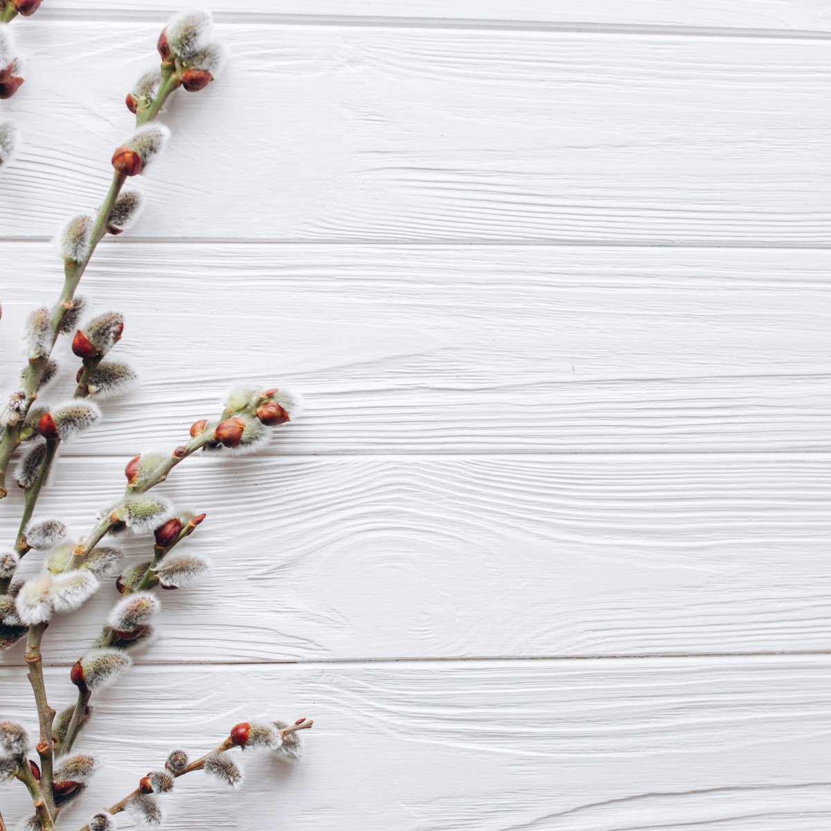 Букет из вербы