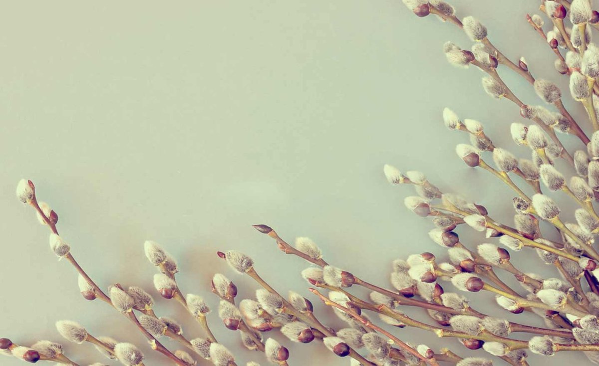 Весенний пейзаж Эстетика