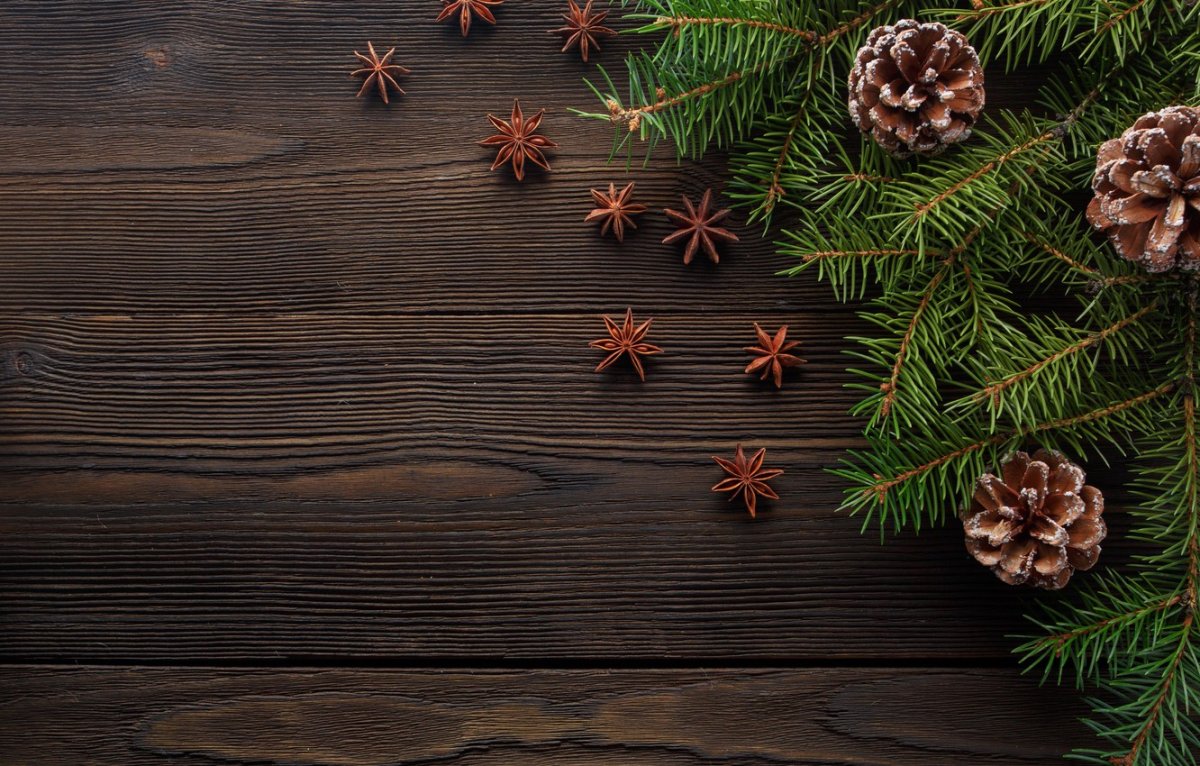 Фотофон еловые ветки