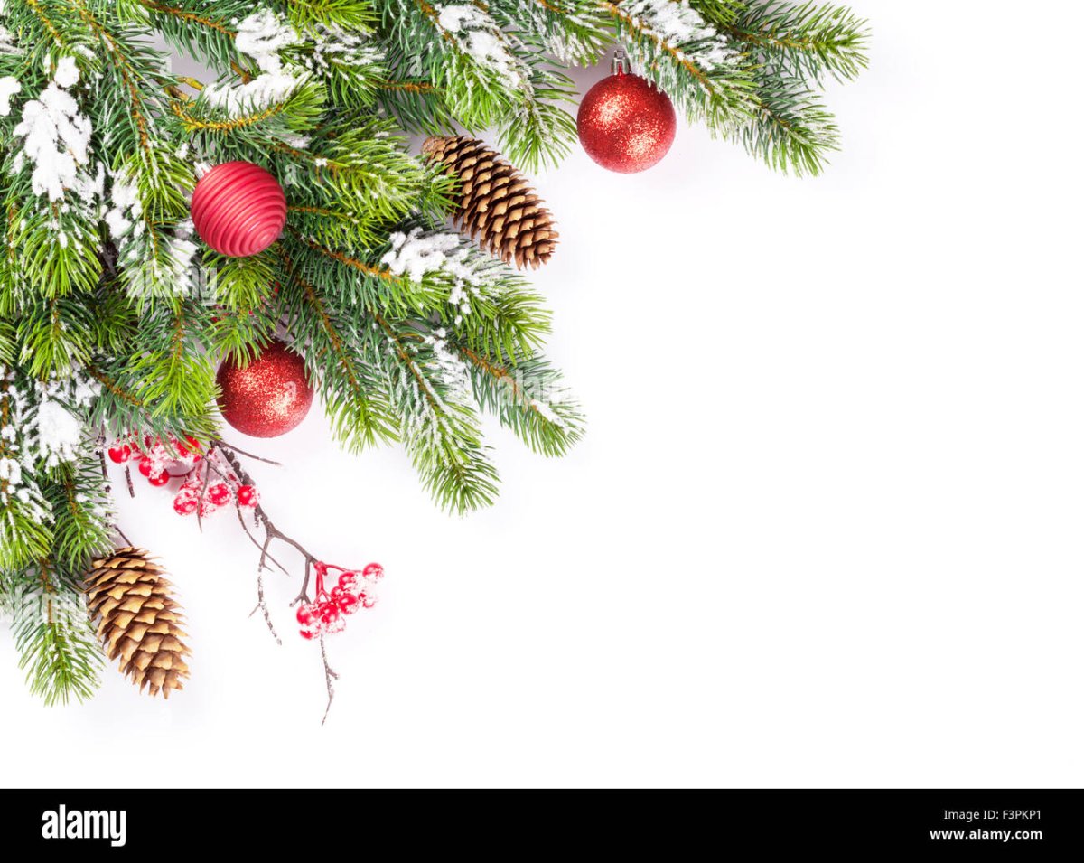 В углу ветка ели