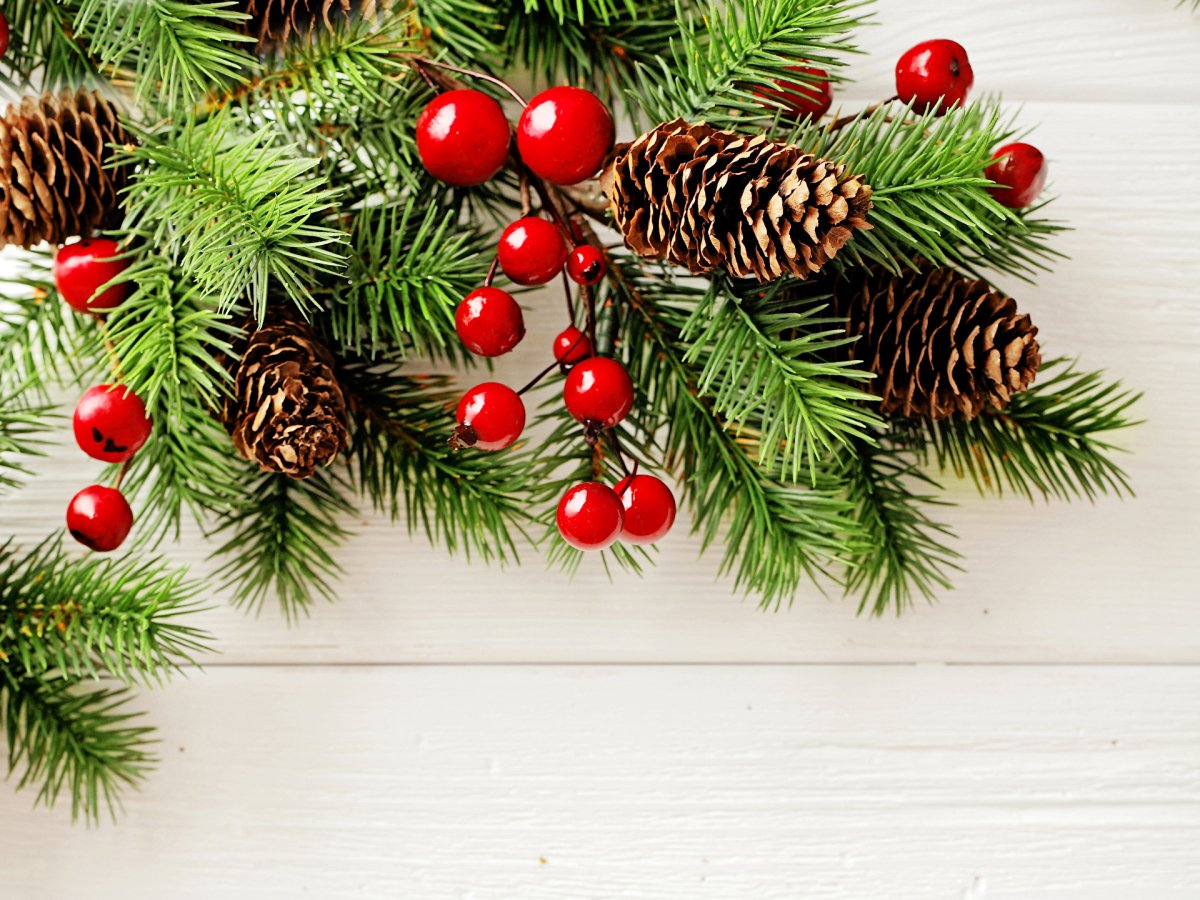 Новогодние еловые ветки