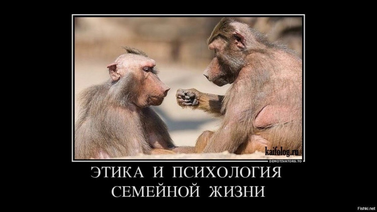 Демотиваторы приколы