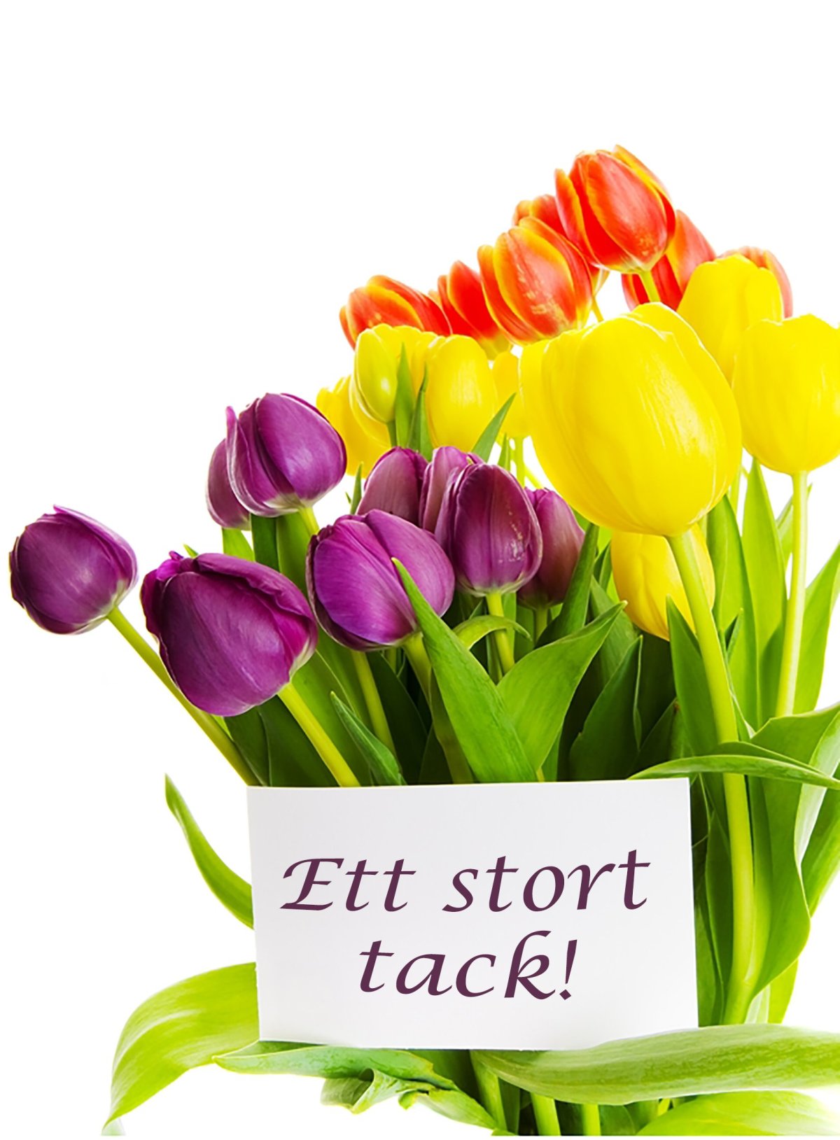 С днём рождения Юличкп