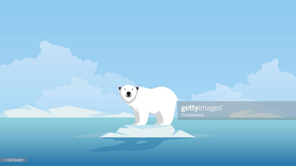 Защита климата для белых медведей рисунки