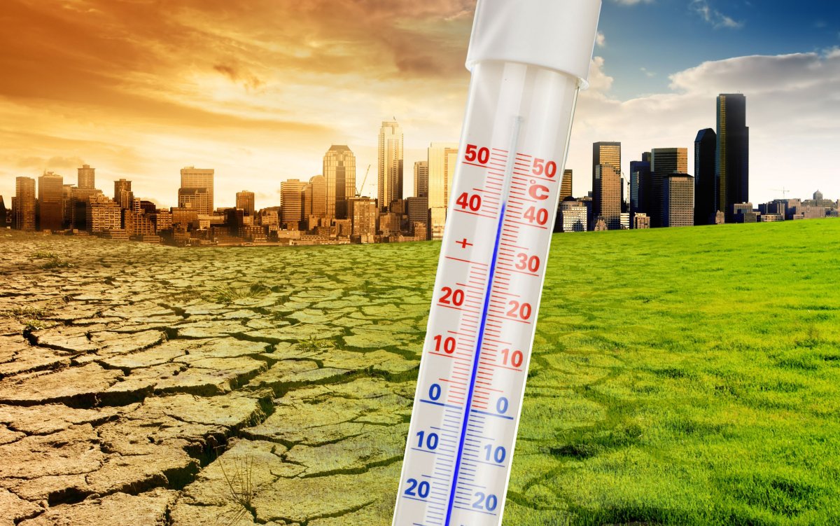 Глобальное потемнение