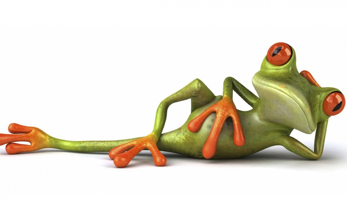 Лягушка лежит