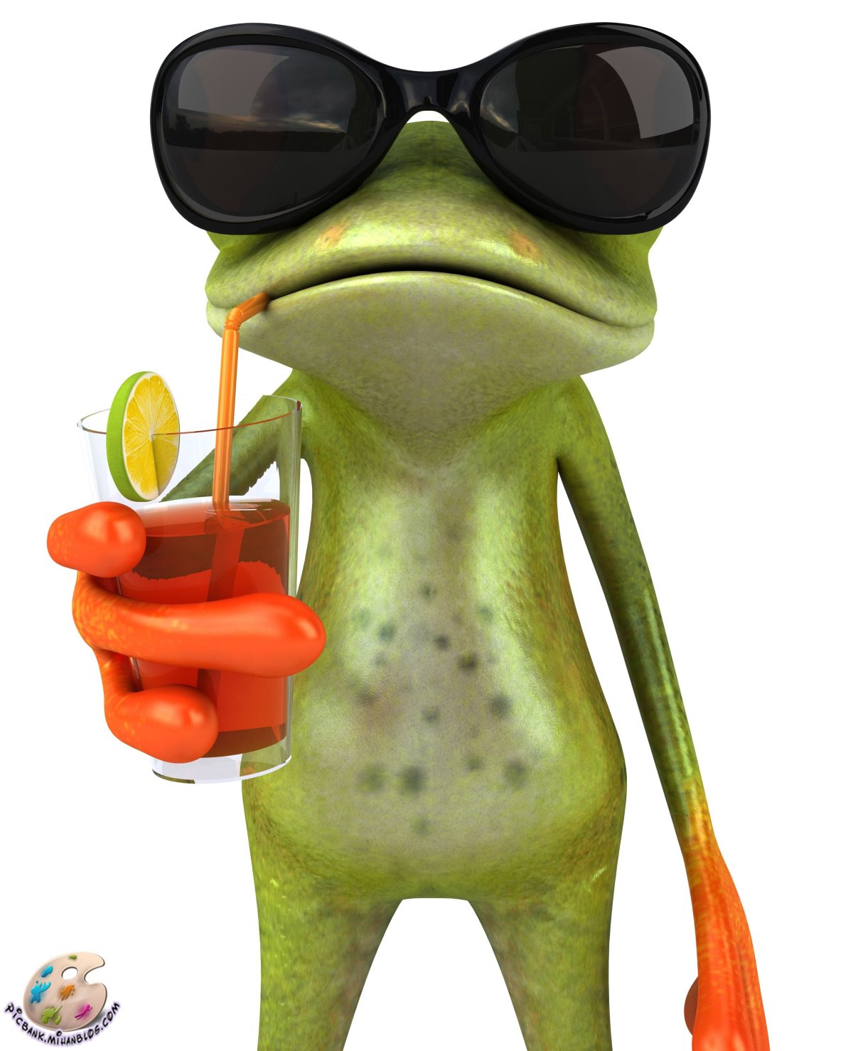 Жаба в очках