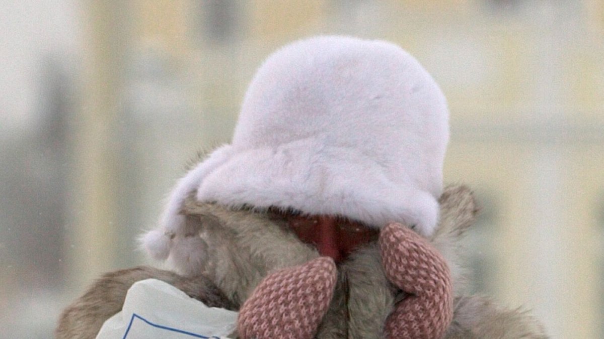 Одежда на 20 градусов Мороза