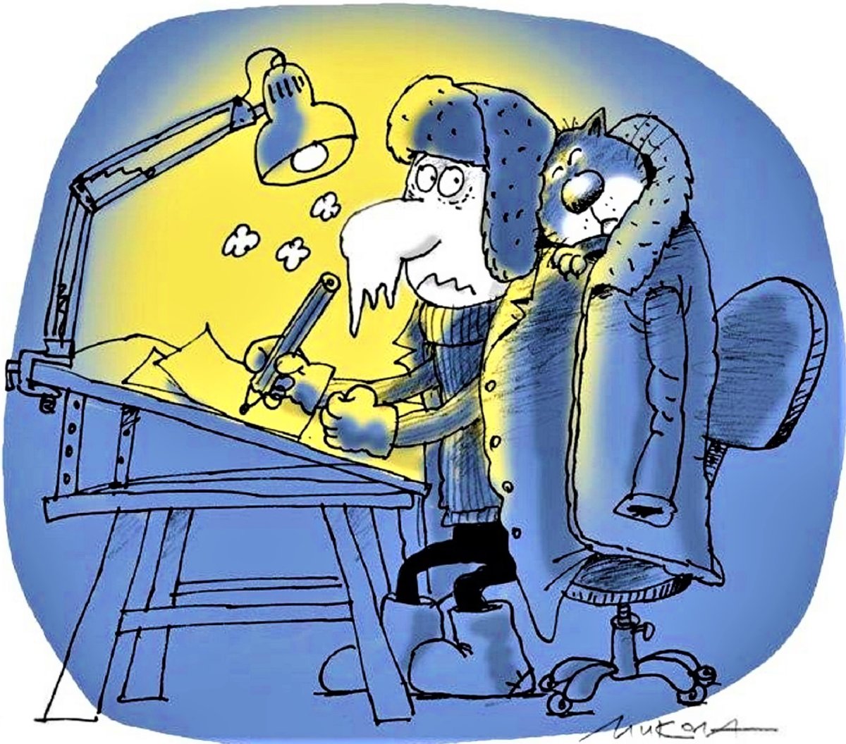 Кот укутанный в одеяло