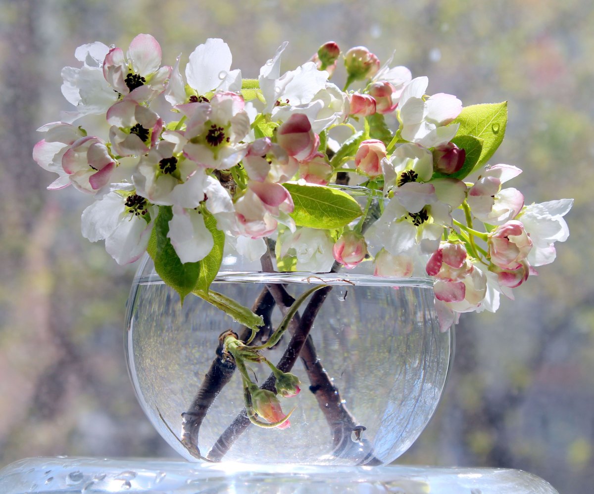 С добрым весенним утром и хорошим днём