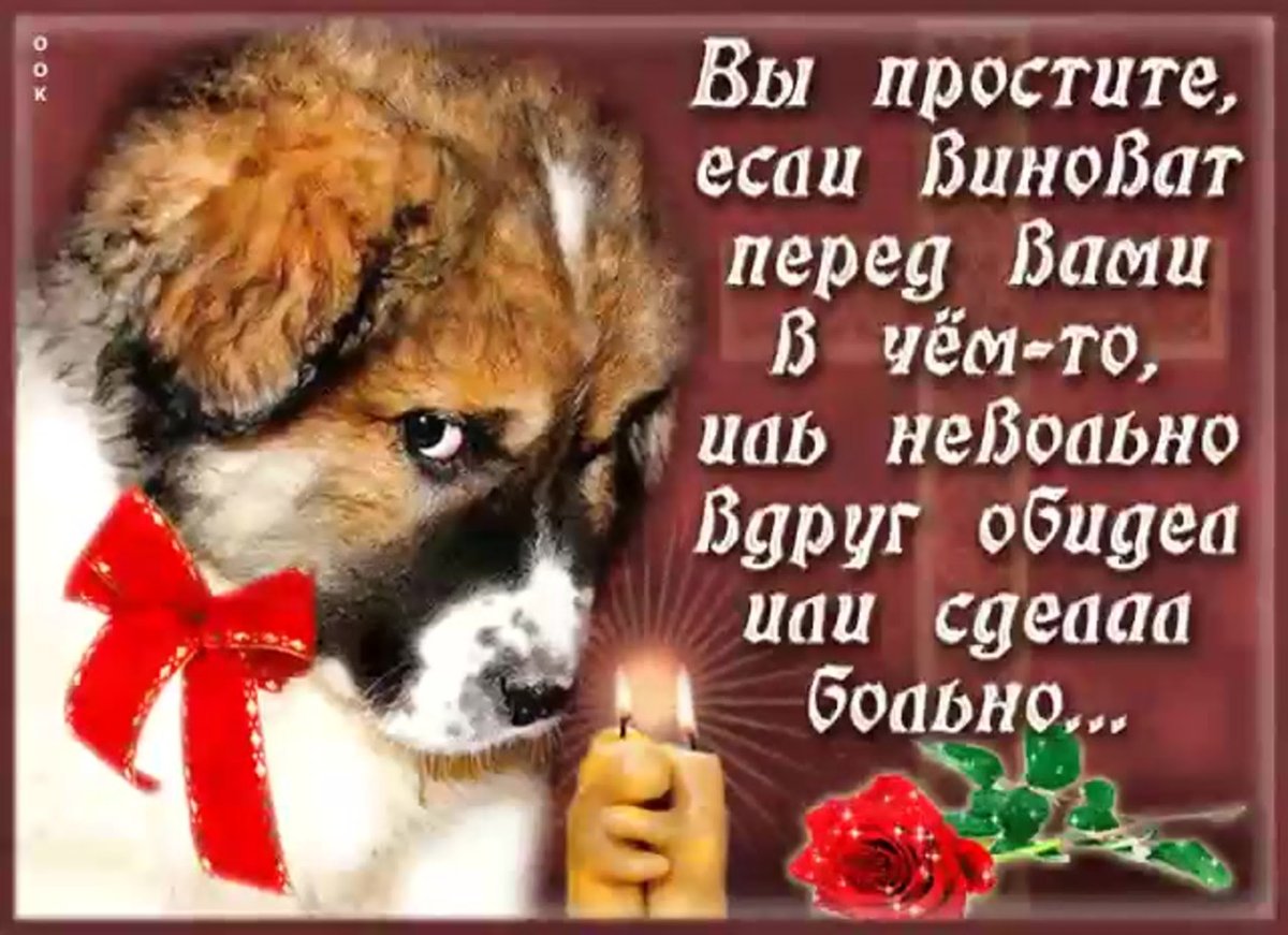 Простите меня