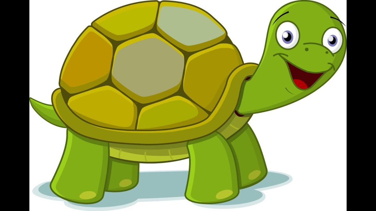 Тортилла черепаха Тортилла