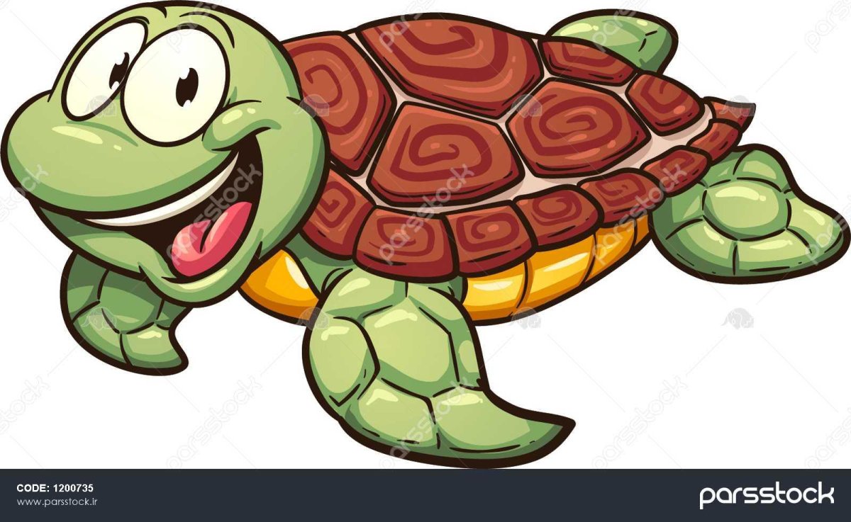 Мультяшная черепаха на белом фоне