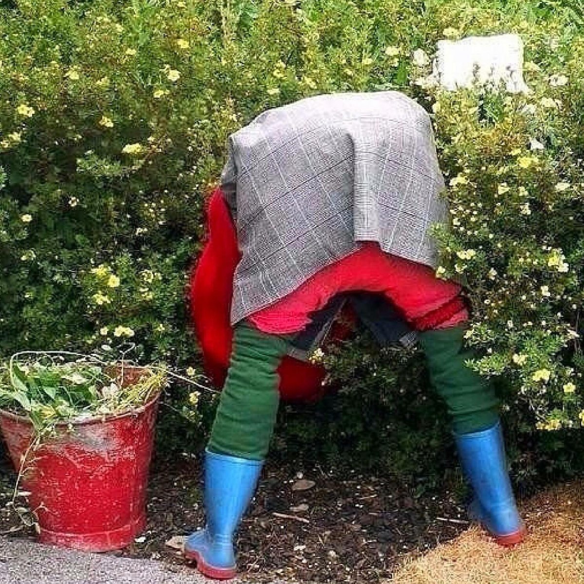 Приколы про дачу