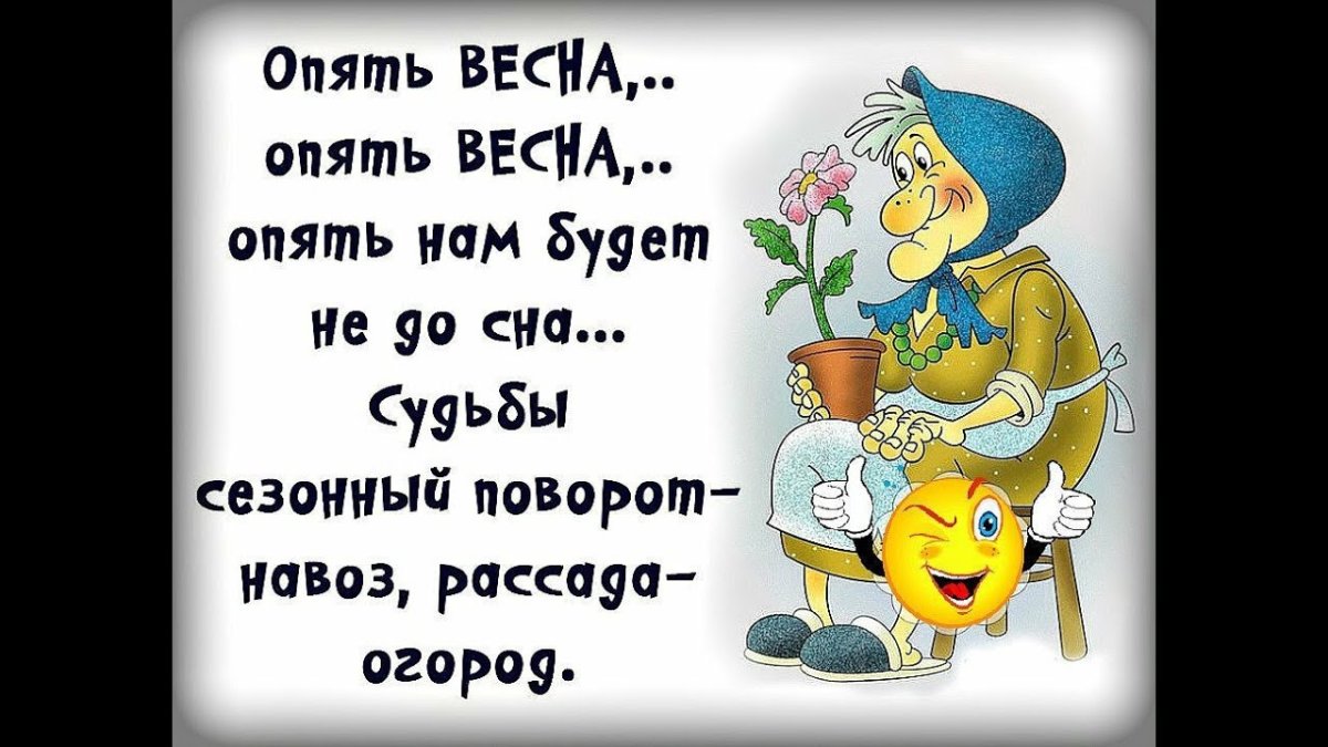 Юмористические рисунки