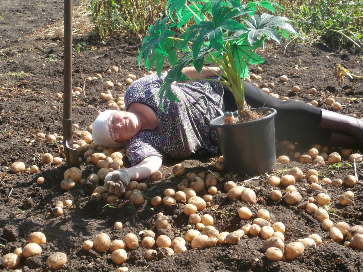 Веселые надписи на даче