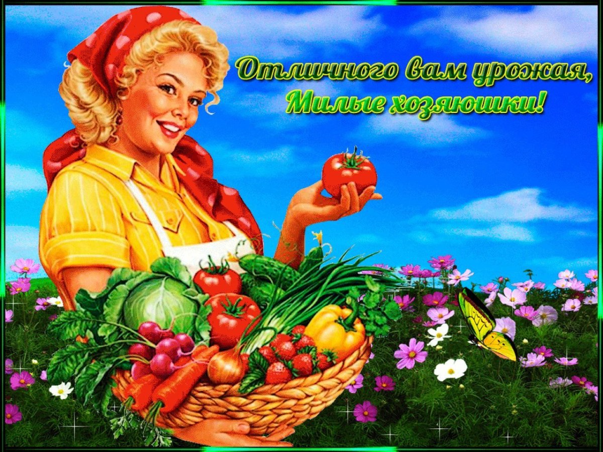 Сбор картошки в деревне