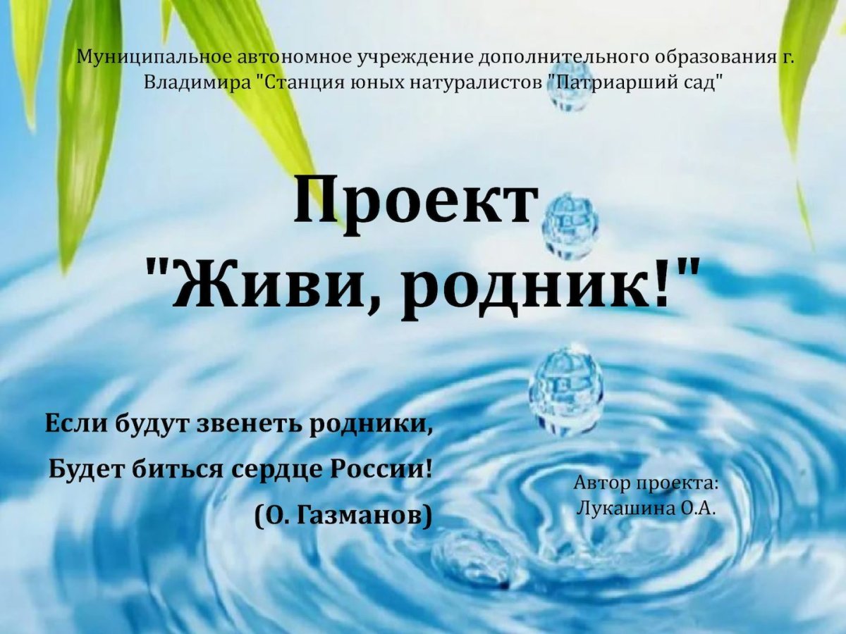 Проект волшебница вода