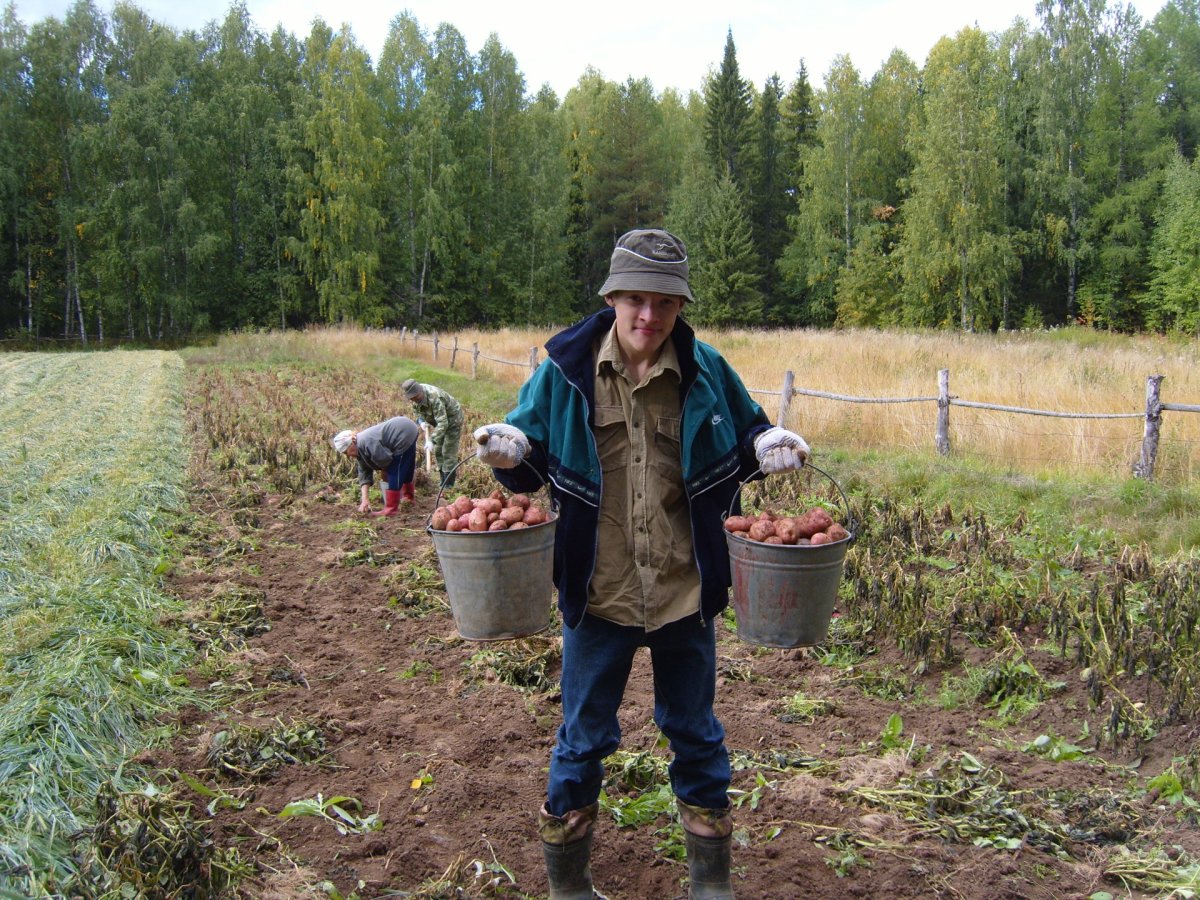 Приколы про дачу