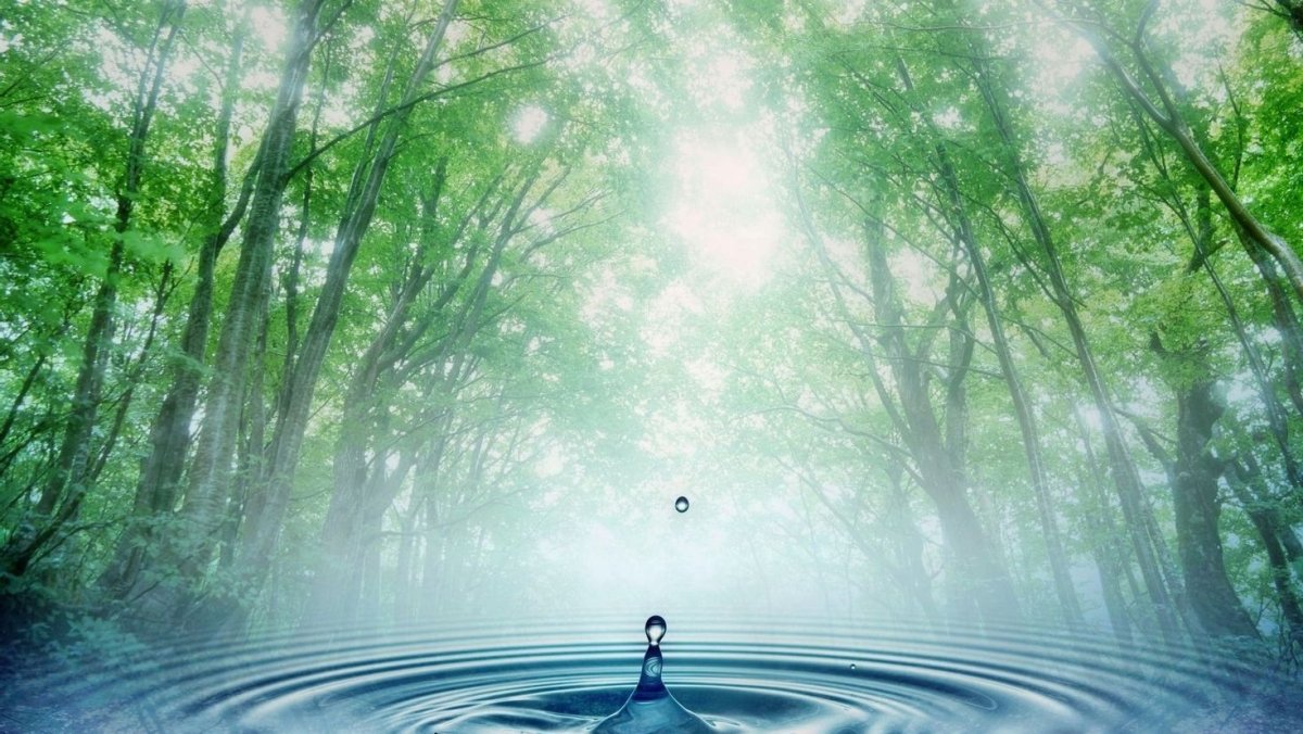 Умиротворяющая природа