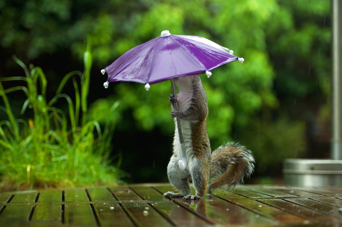 Хорошей погоды и отличного настроения