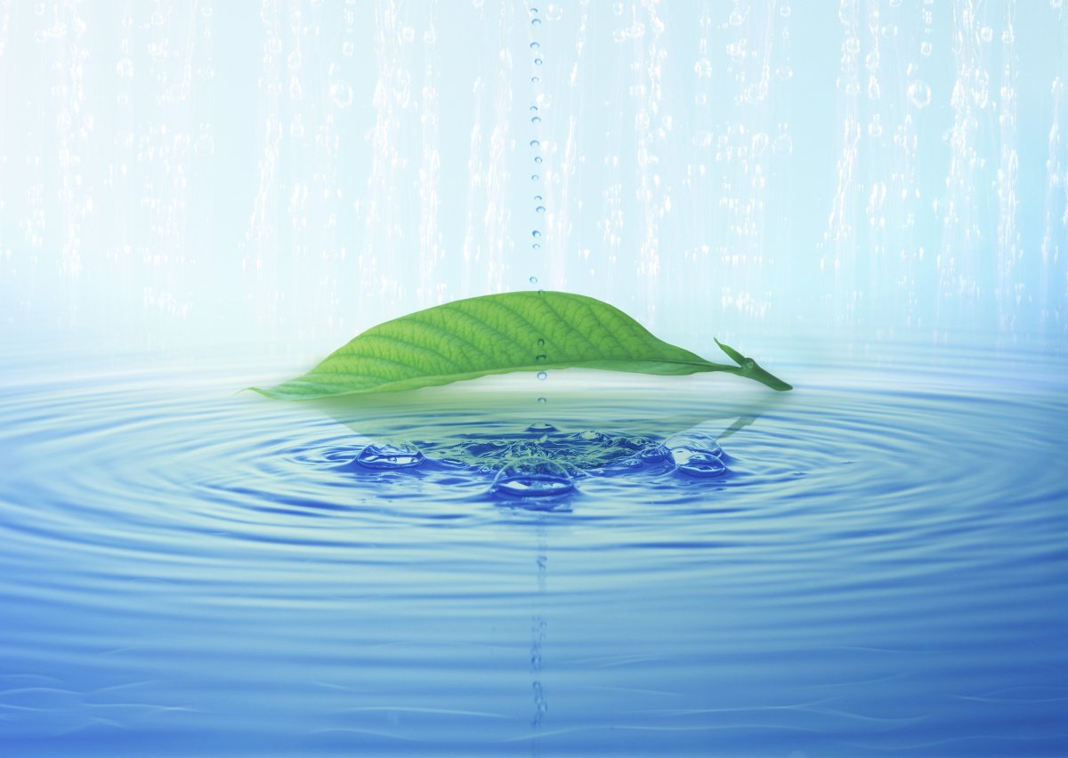 Свежесть воды