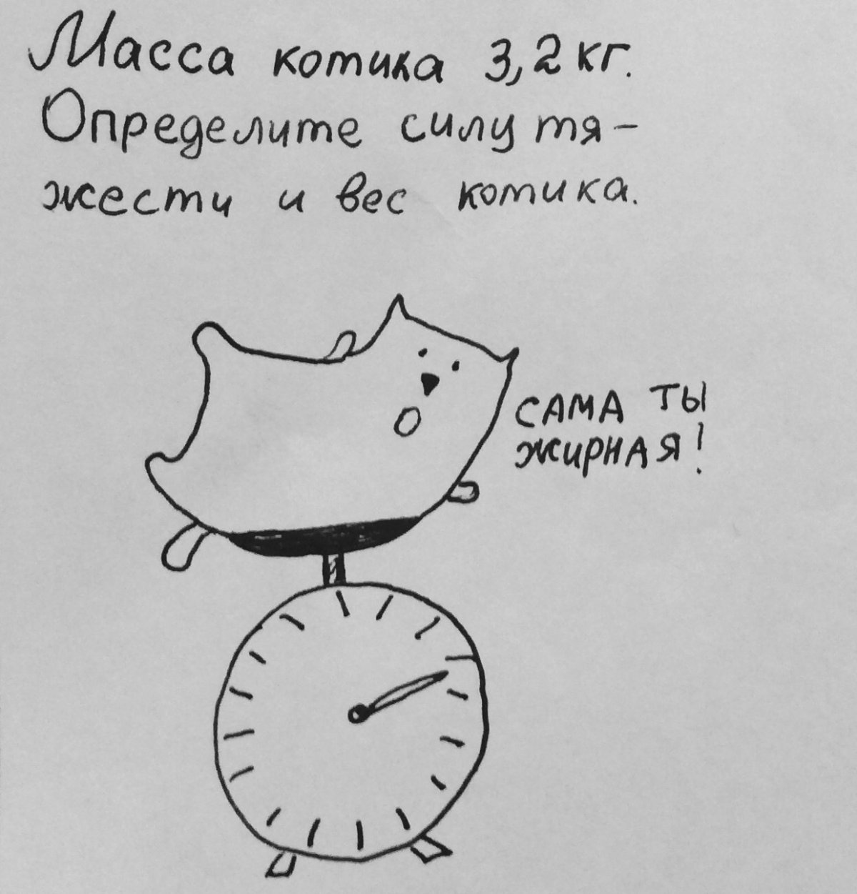 Физика в котиках