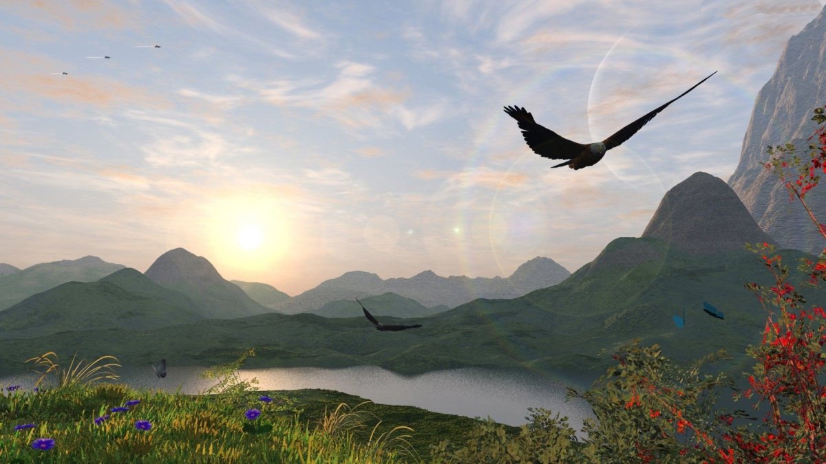 Полет птицы над горами