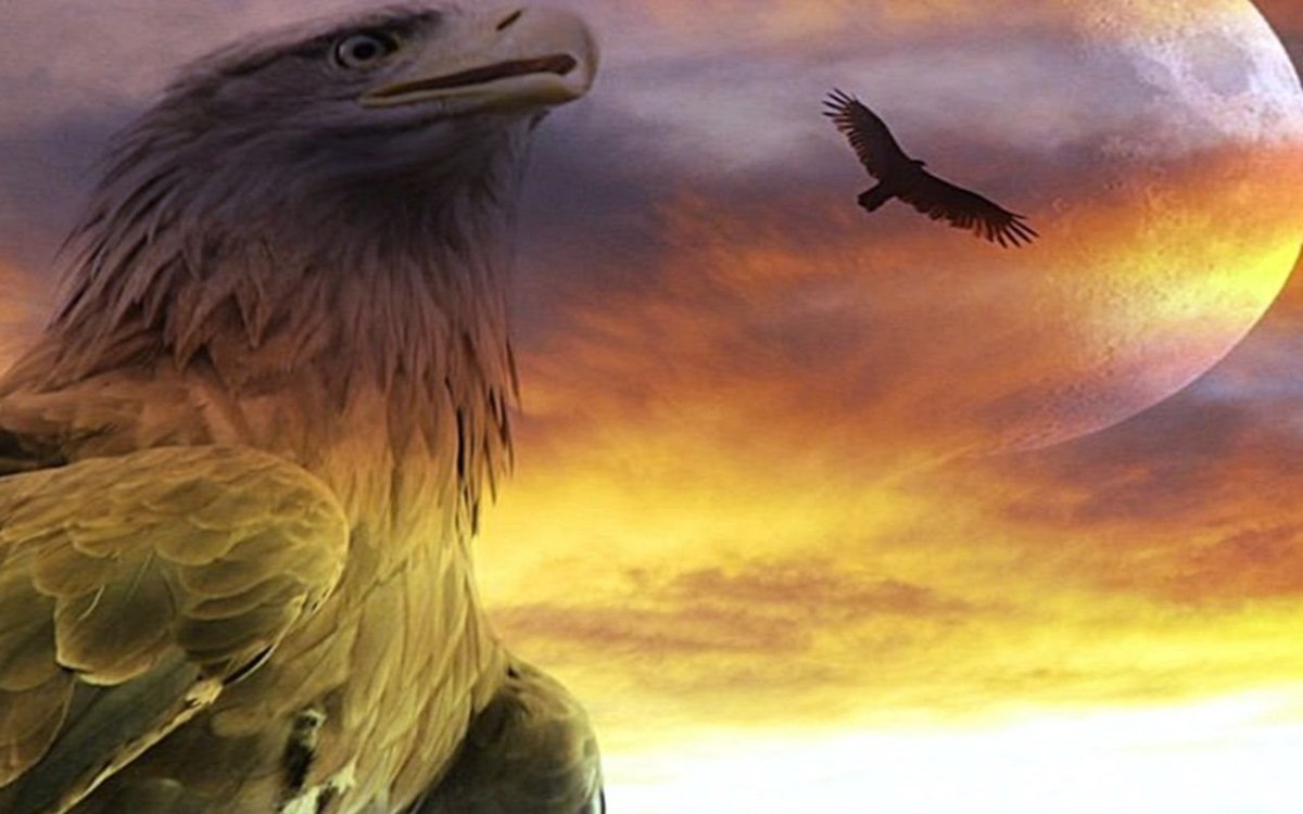 Парящий орёл Славянский