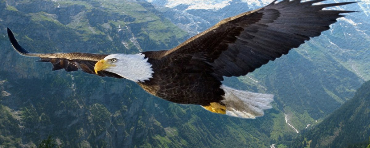 Полет орла в горах