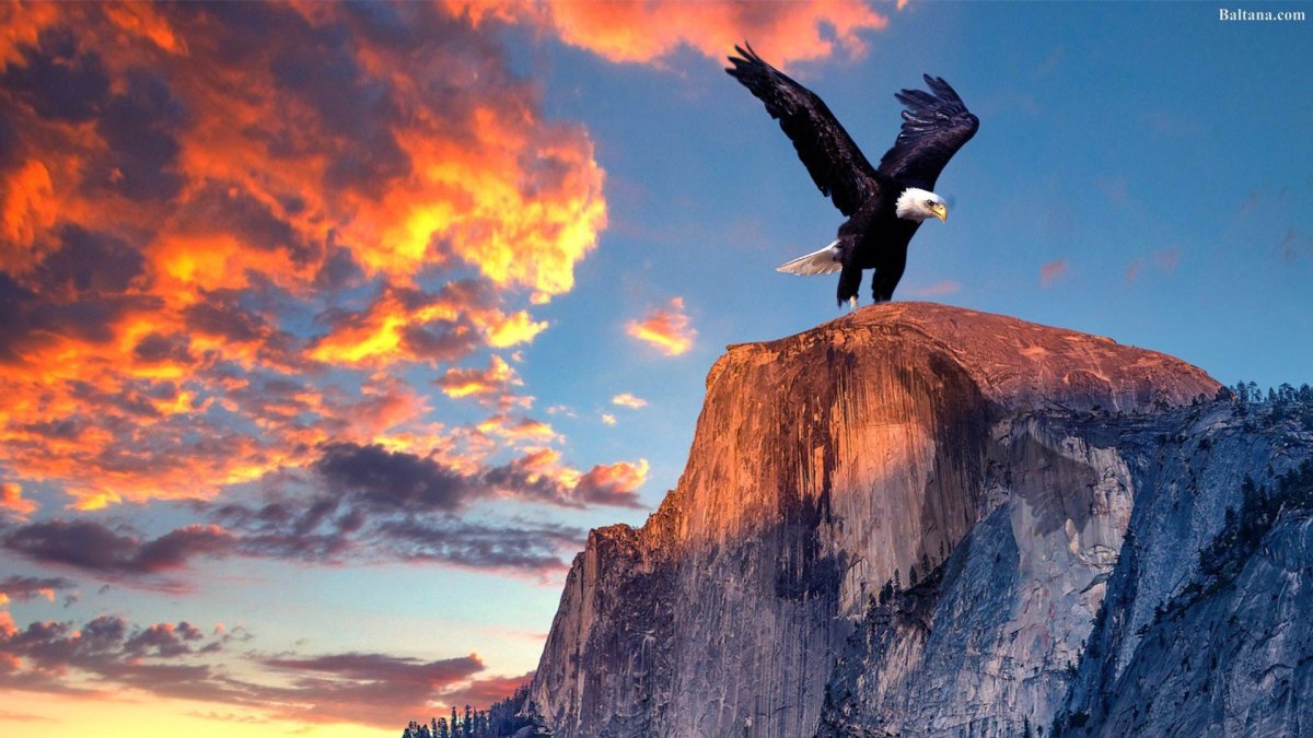 Парящий Орел в горах Кавказа