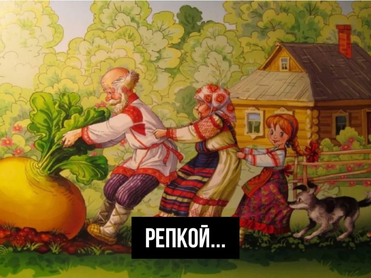 Репка художник Жигарев