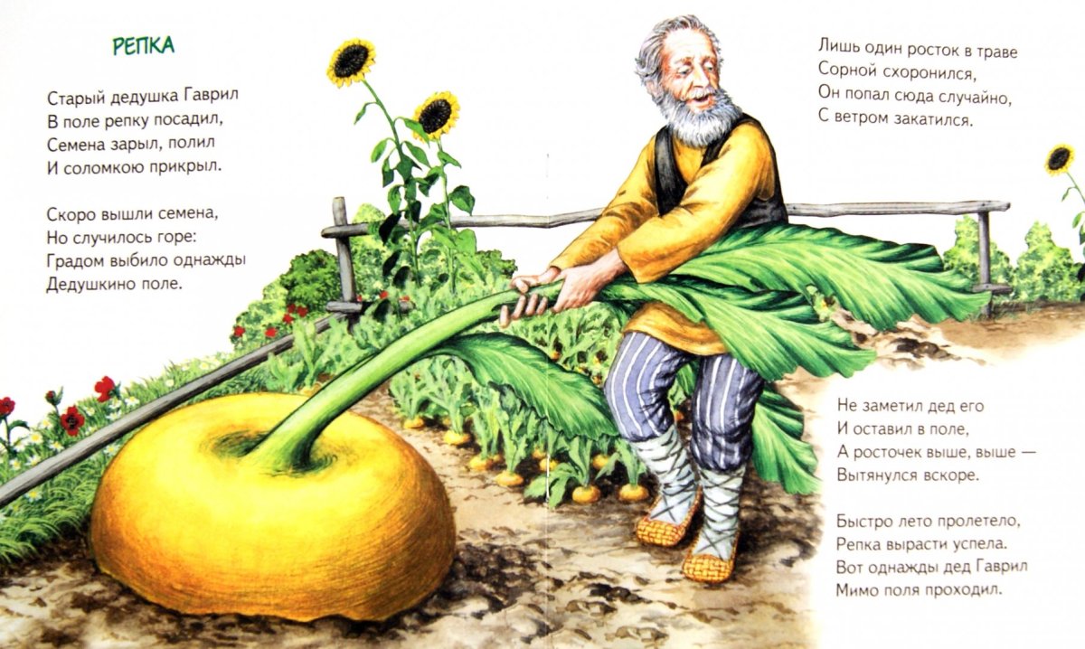 Сказка "Репка"