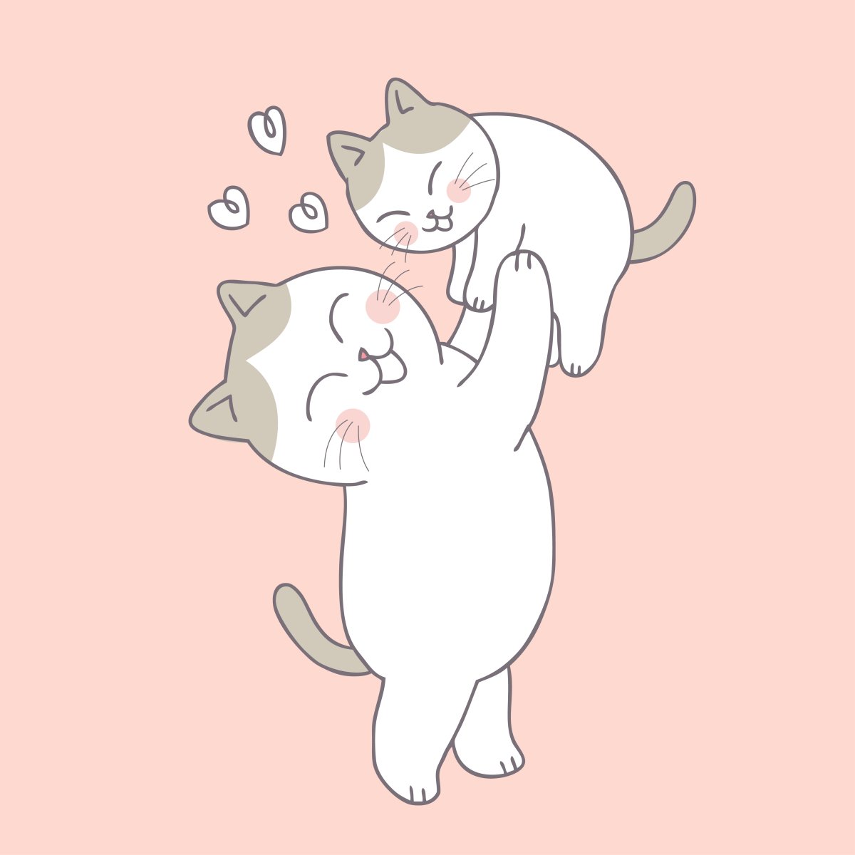 Кис кис кис кис я котик ты котик